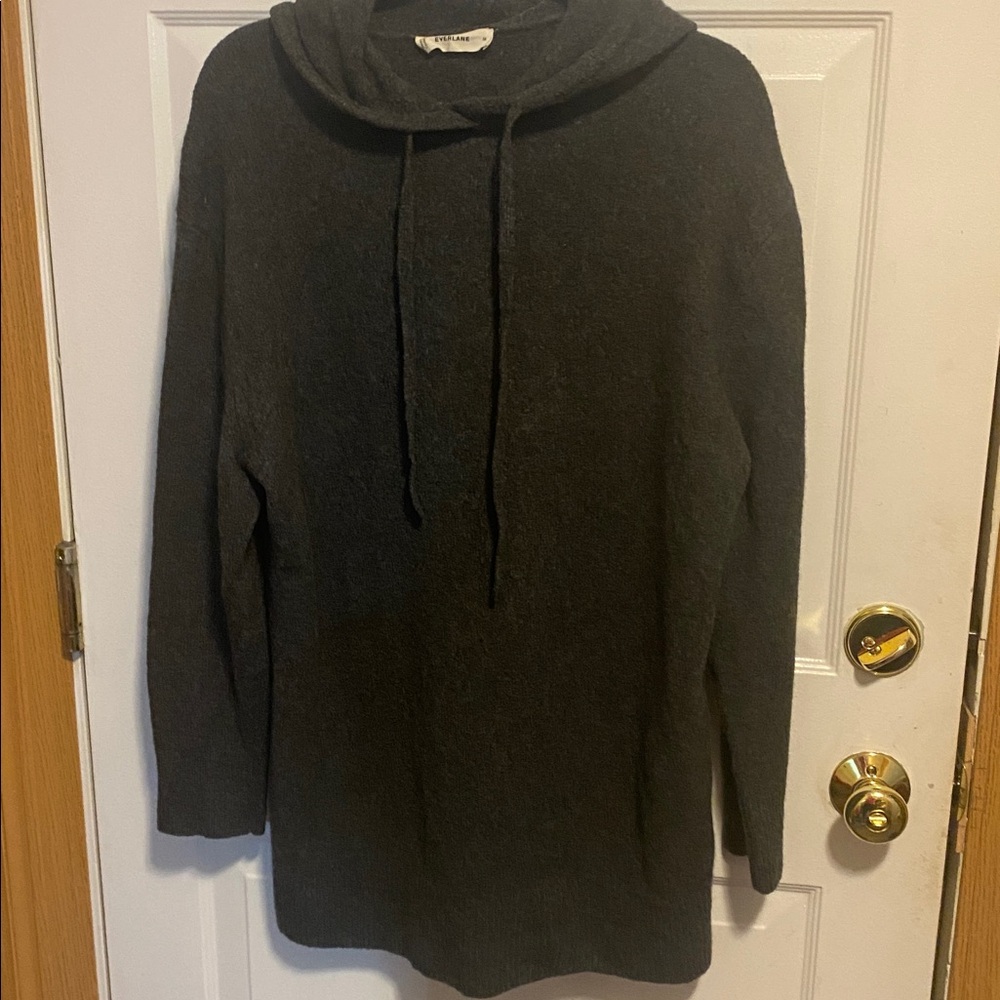 Cozy Everlane hooded tunic sweater